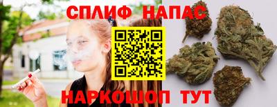 a pvp Шебекино