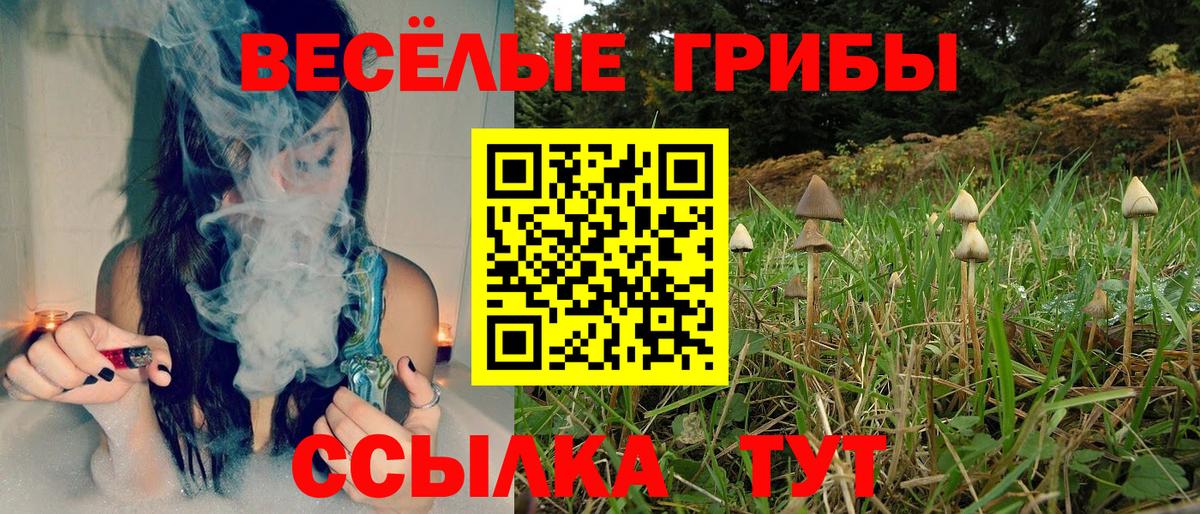 Бердск  закладки  Вход с VPN  Псилоцибиновые грибы Psilocybine cubensis 