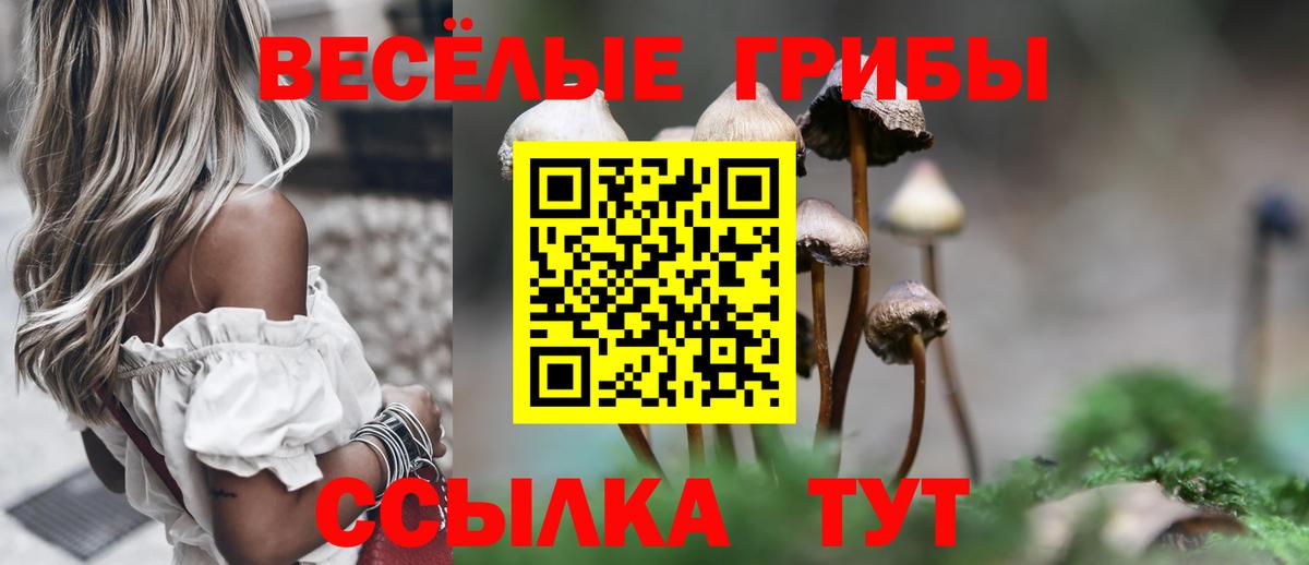 Псилоцибиновые грибы мухоморы Бердск